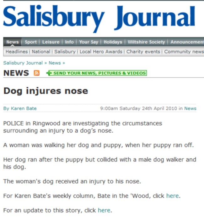 Dog-injures-nose