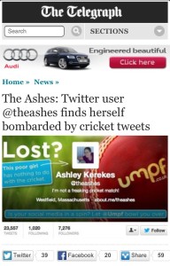 sport-social-media-stunt-the-ashes-Telegraph