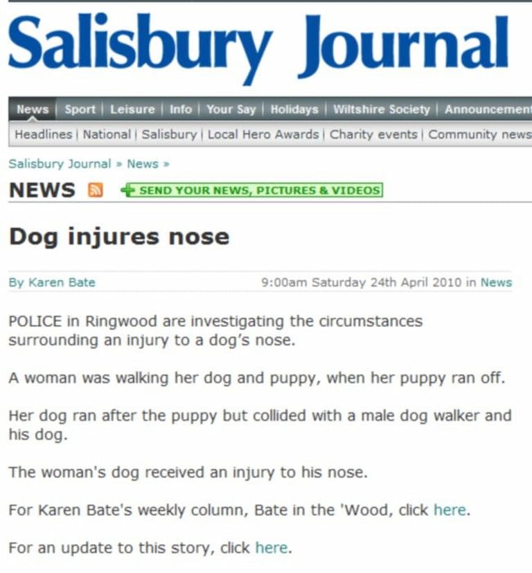 dog-injures-nose-best-local-media-stories