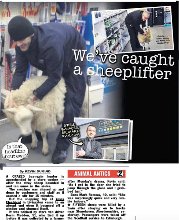 Umpf PR campaign sheeplifter store