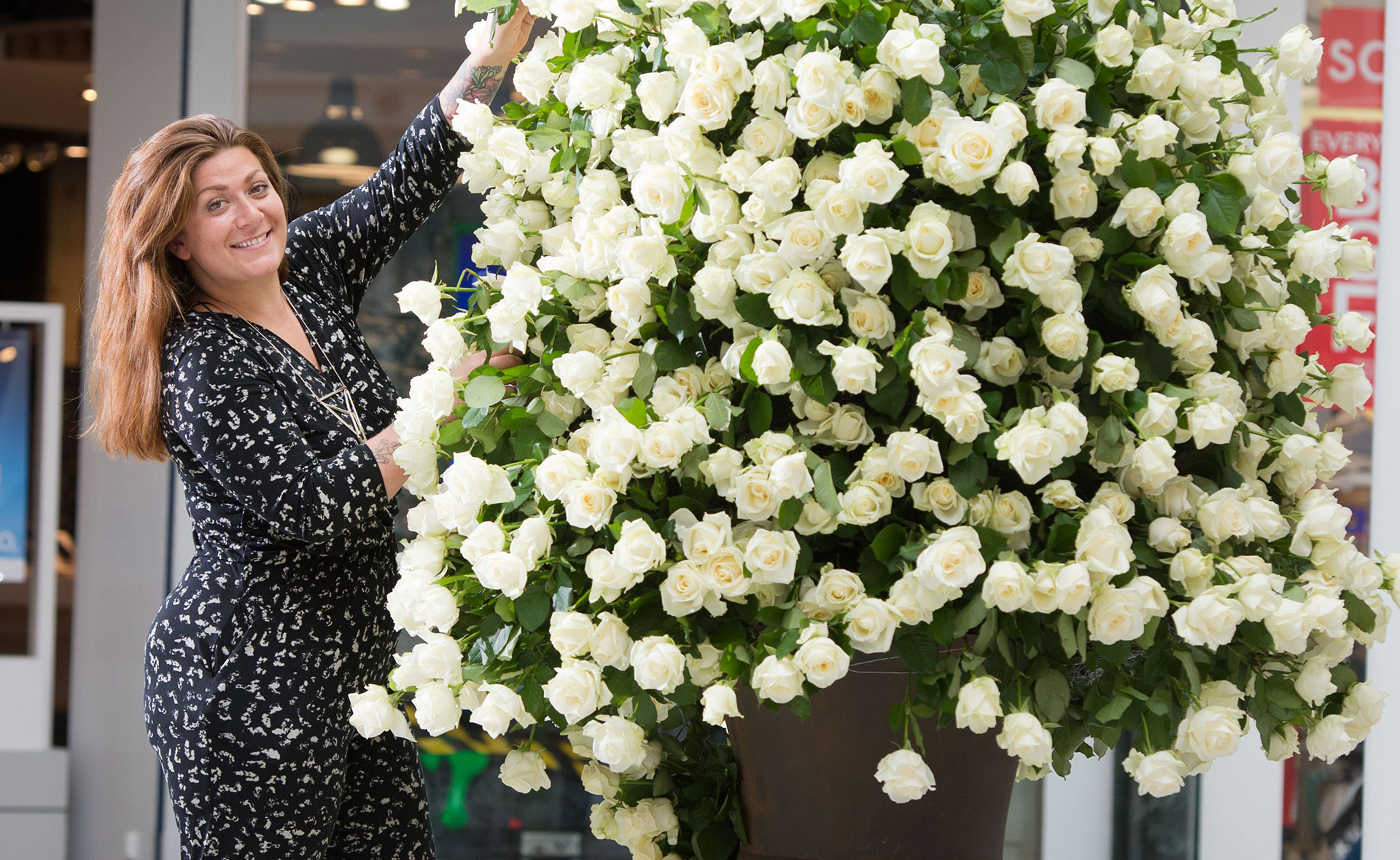 White Rose Yorkshire Day