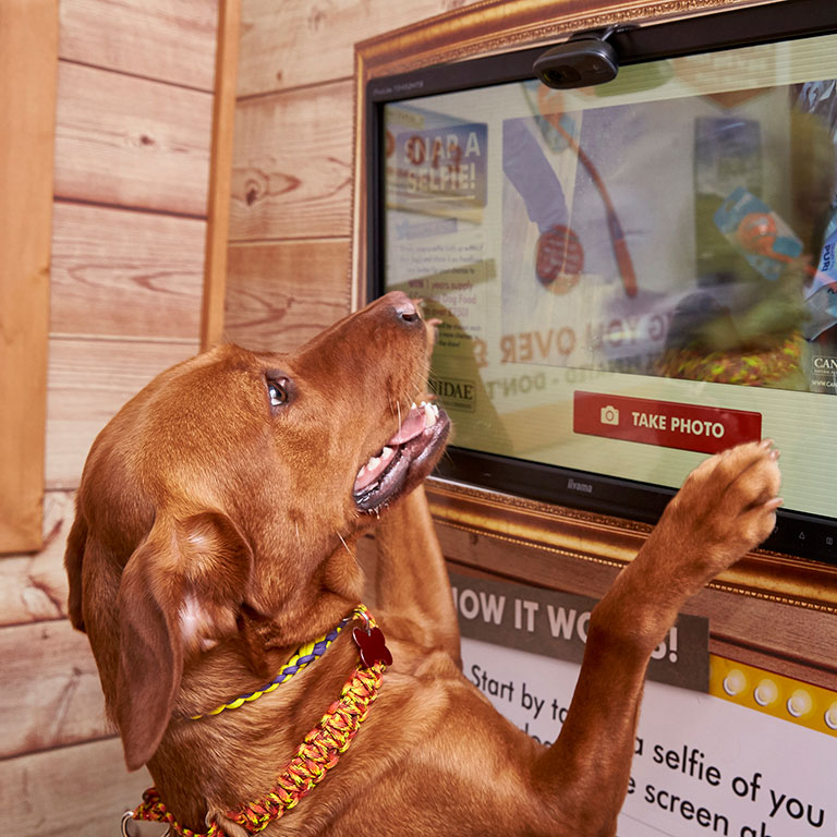 Canidae Dog Selfie Mirror