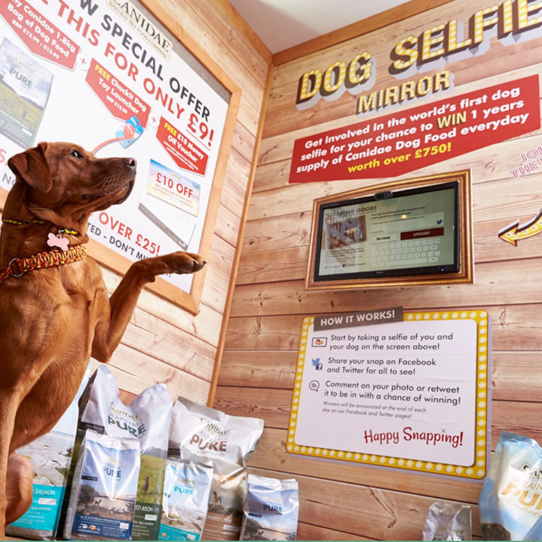 World’s First Dog Selfie – social media campaign of the Year