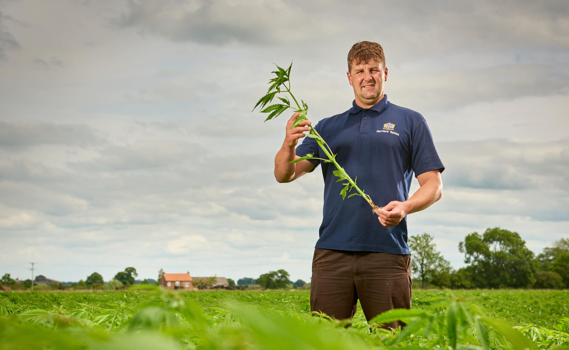 Harrison Spinks Farm