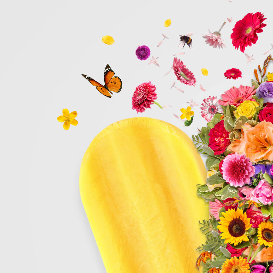 design-for-Bloom-campaign