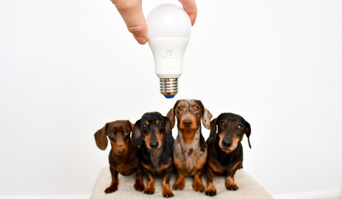 4Lite Homes & Interiors PR