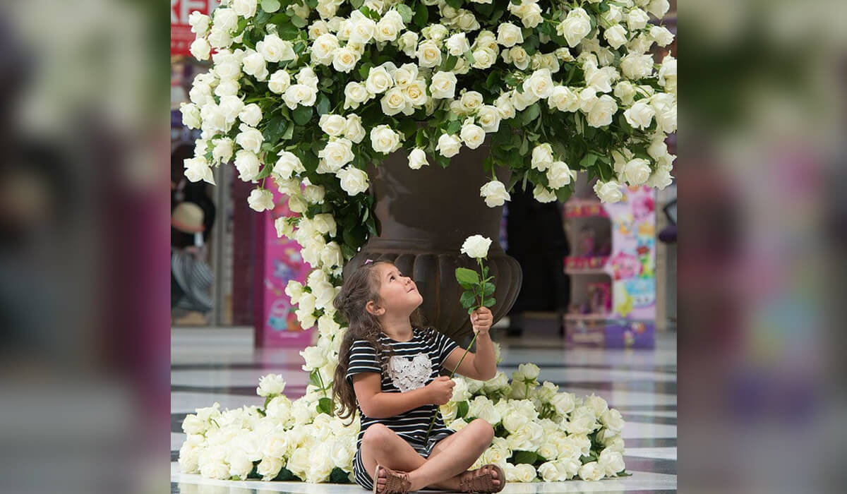 Blooming Marvellous White Rose Yorkshire PR Stunt