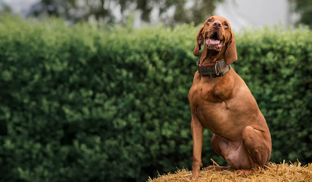 Clarks Village Destination Marketing Campaign Umpf