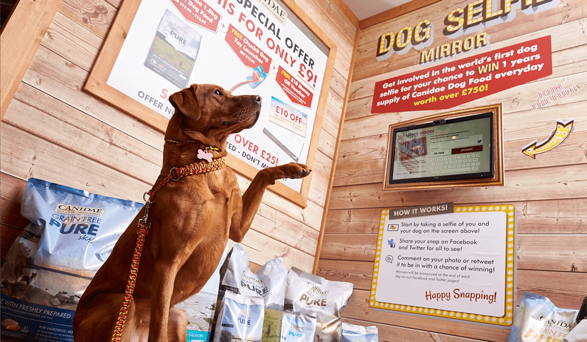 World’s First Dog Selfie – social media campaign of the Year